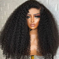 BURMESE ISLAND CURL